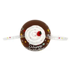 Disney Mickey Mouse ''Happy Birthday'' Ear Hat For Adults -Tiny World Shop 2016105489010 5
